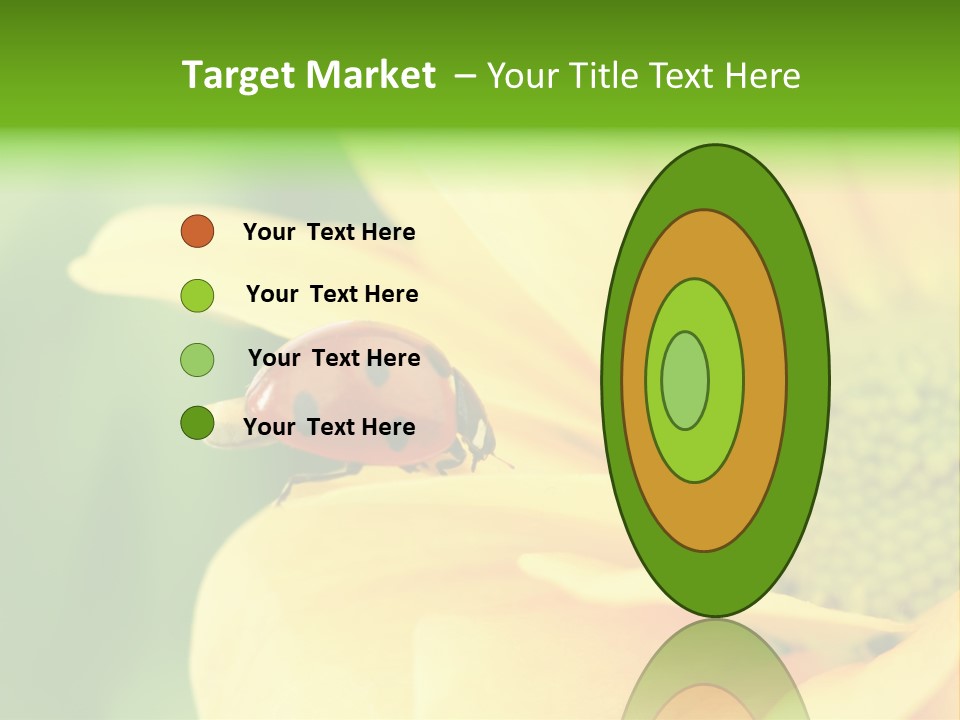 Insect Colorful Small PowerPoint Template