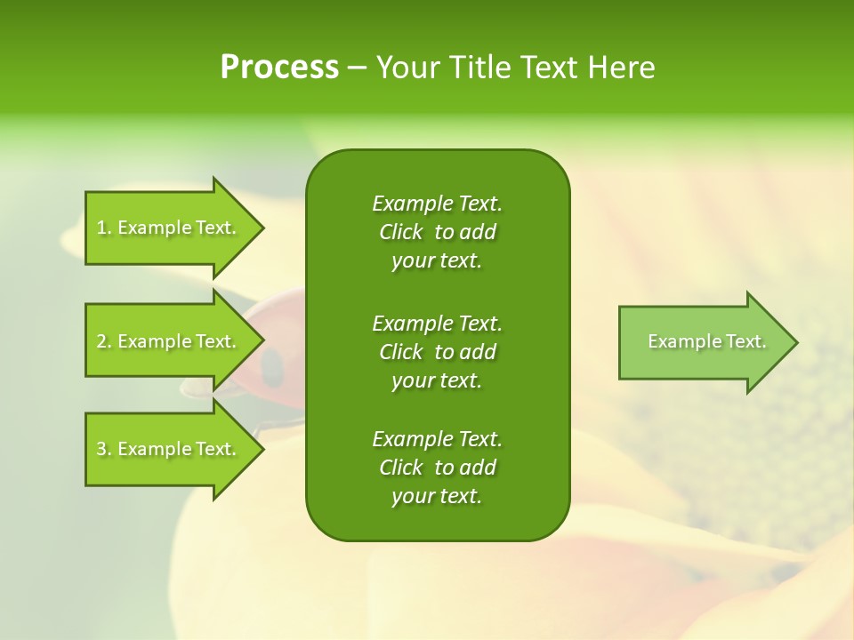 Insect Colorful Small PowerPoint Template