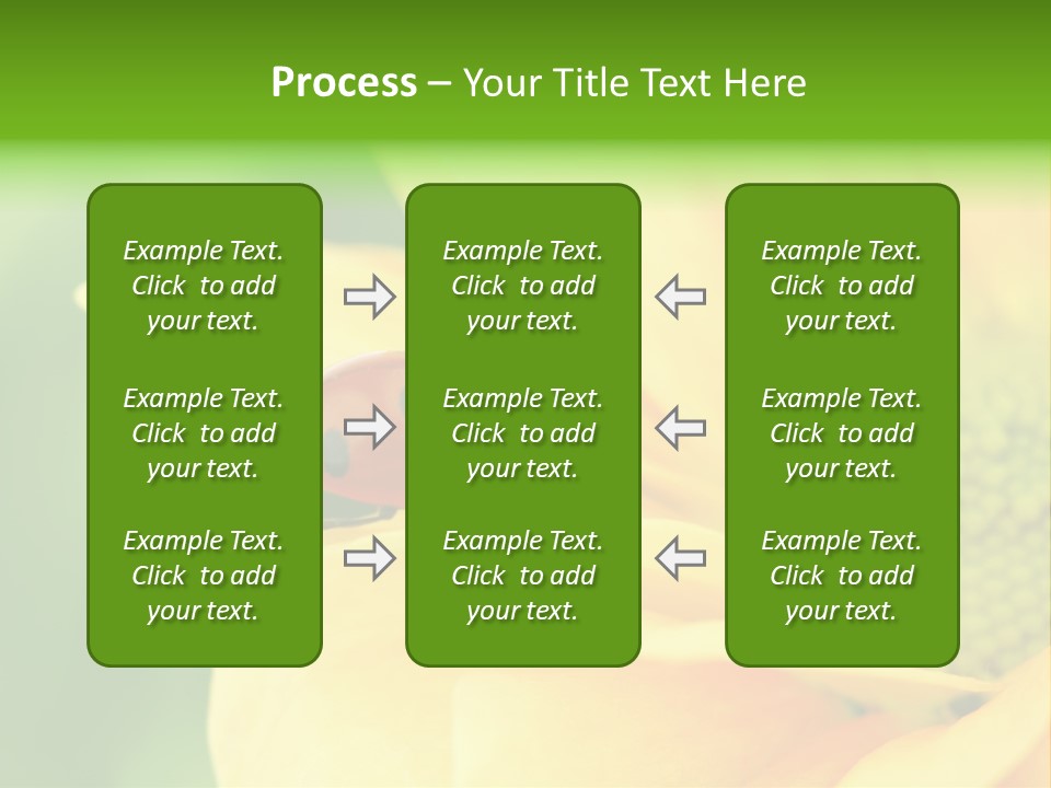 Insect Colorful Small PowerPoint Template