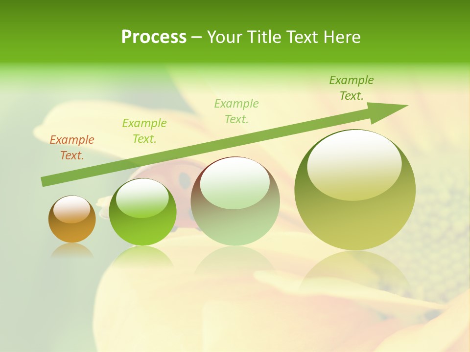 Insect Colorful Small PowerPoint Template