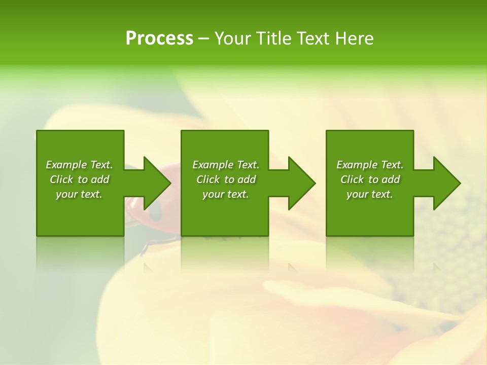 Insect Colorful Small PowerPoint Template