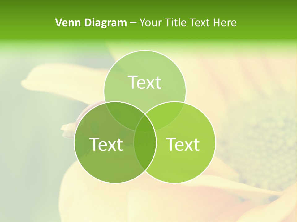 Insect Colorful Small PowerPoint Template