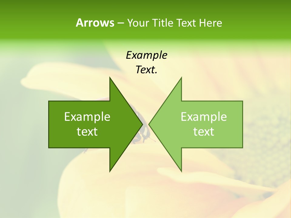 Insect Colorful Small PowerPoint Template