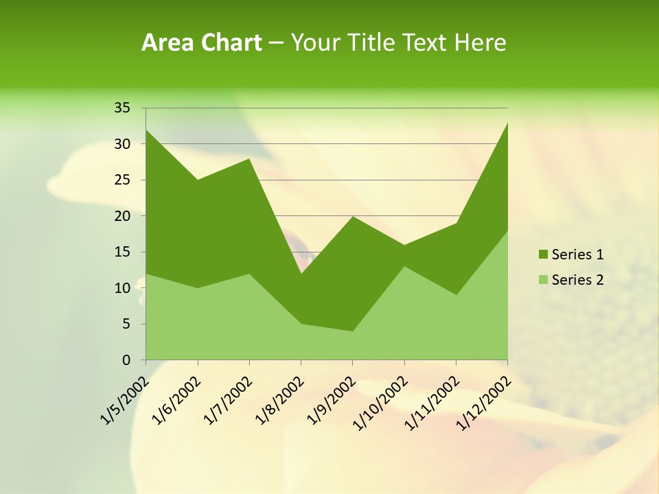 Insect Colorful Small PowerPoint Template