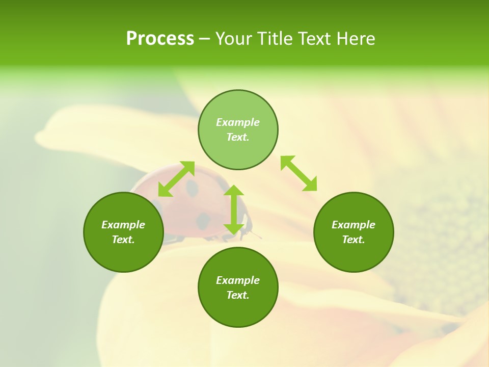 Insect Colorful Small PowerPoint Template