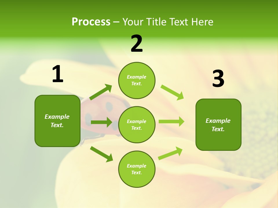 Insect Colorful Small PowerPoint Template