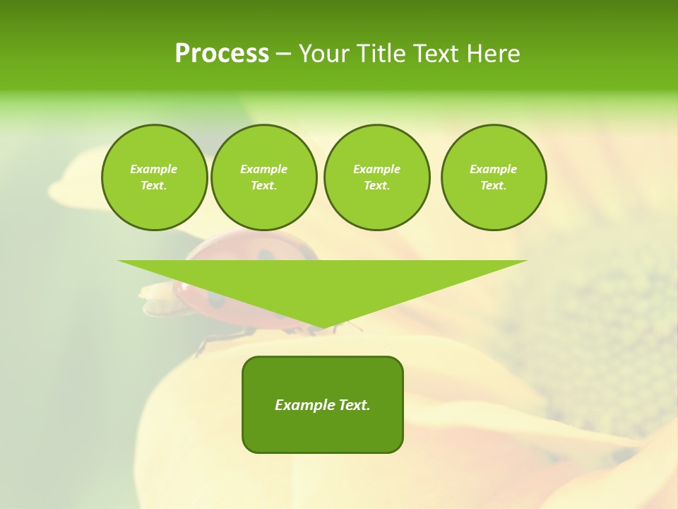 Insect Colorful Small PowerPoint Template