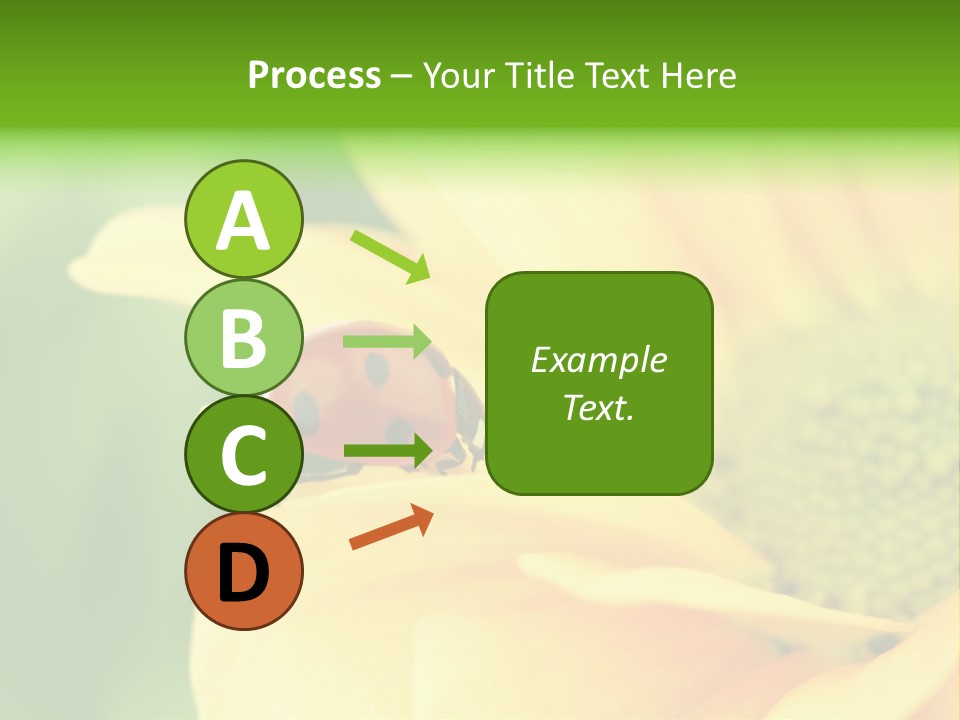 Insect Colorful Small PowerPoint Template