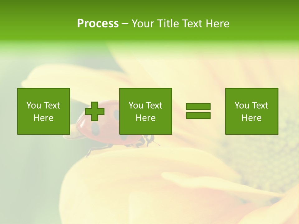 Insect Colorful Small PowerPoint Template