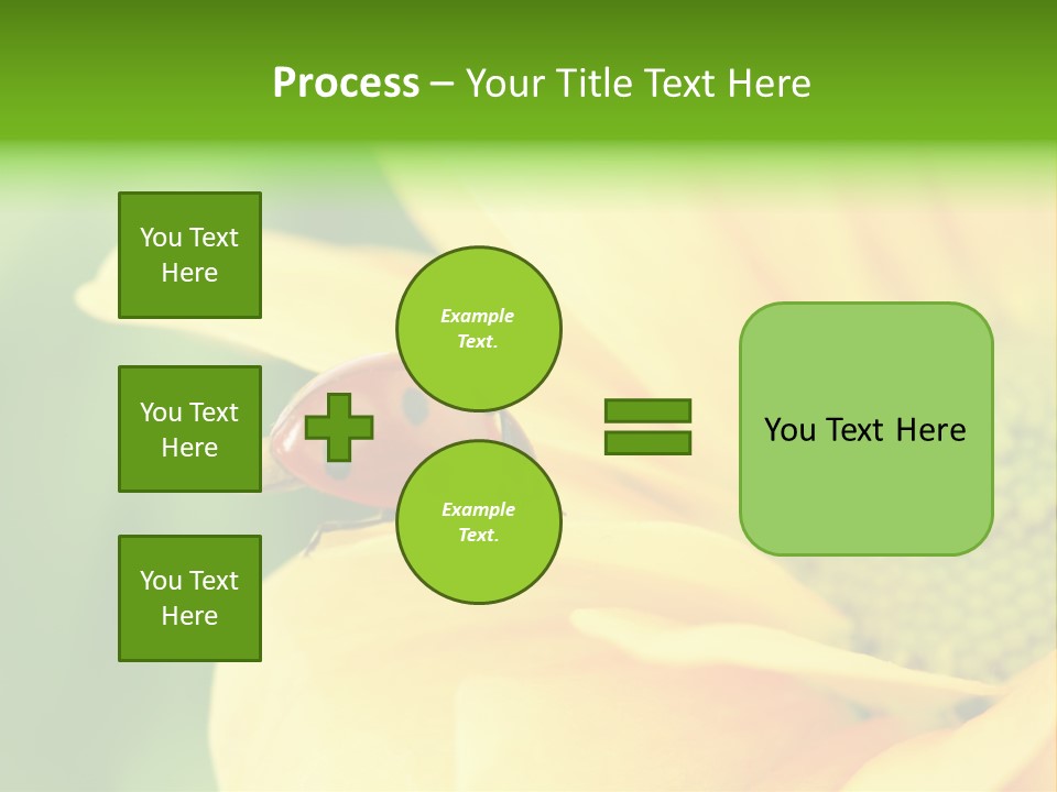 Insect Colorful Small PowerPoint Template