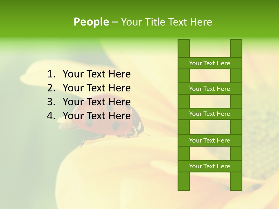 Insect Colorful Small PowerPoint Template