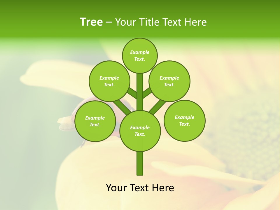 Insect Colorful Small PowerPoint Template