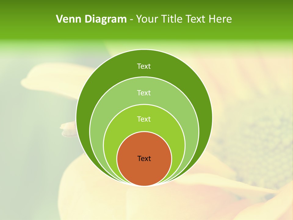 Insect Colorful Small PowerPoint Template
