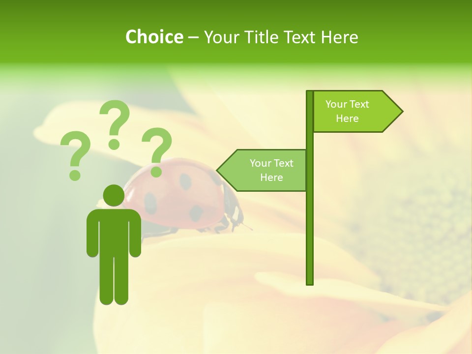 Insect Colorful Small PowerPoint Template