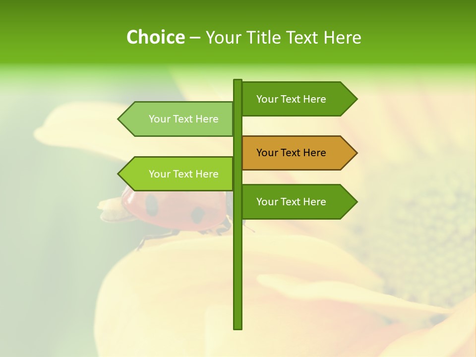 Insect Colorful Small PowerPoint Template