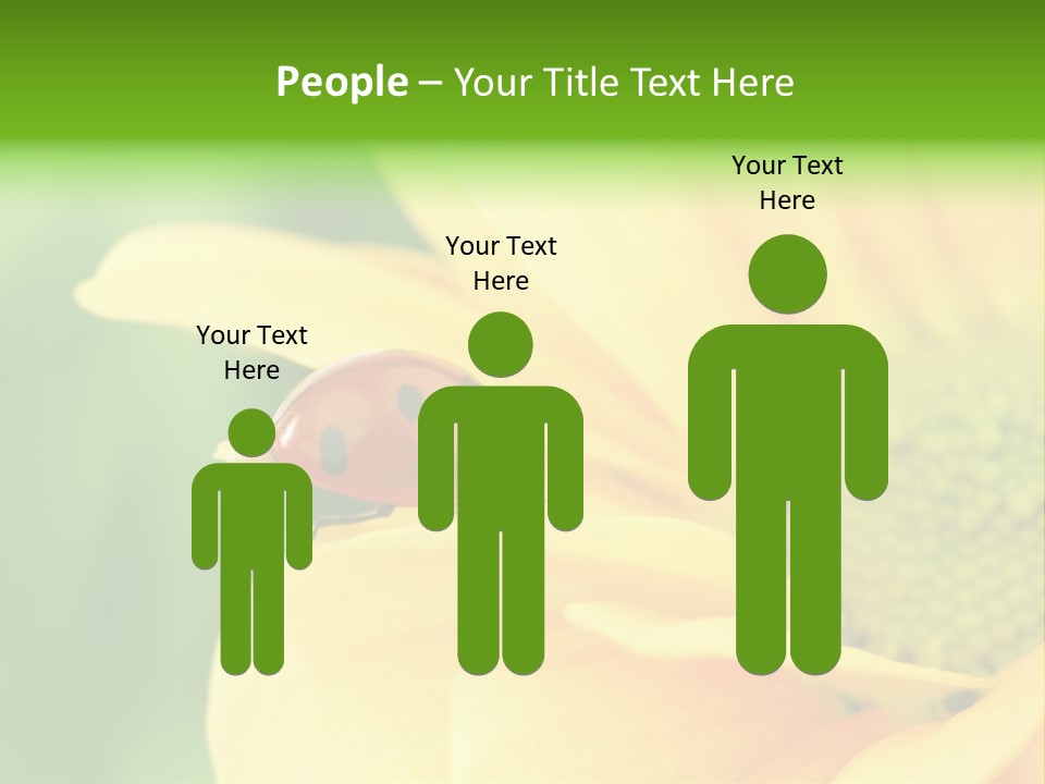 Insect Colorful Small PowerPoint Template