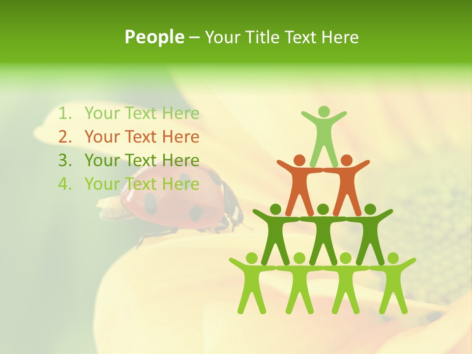 Insect Colorful Small PowerPoint Template