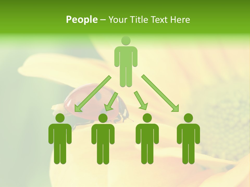 Insect Colorful Small PowerPoint Template