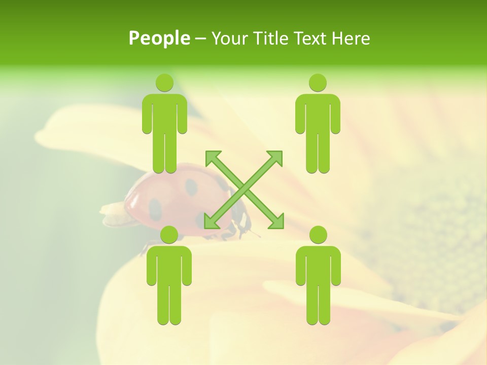 Insect Colorful Small PowerPoint Template