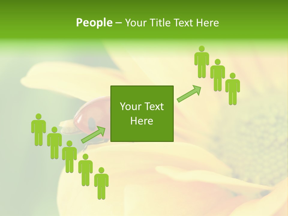 Insect Colorful Small PowerPoint Template