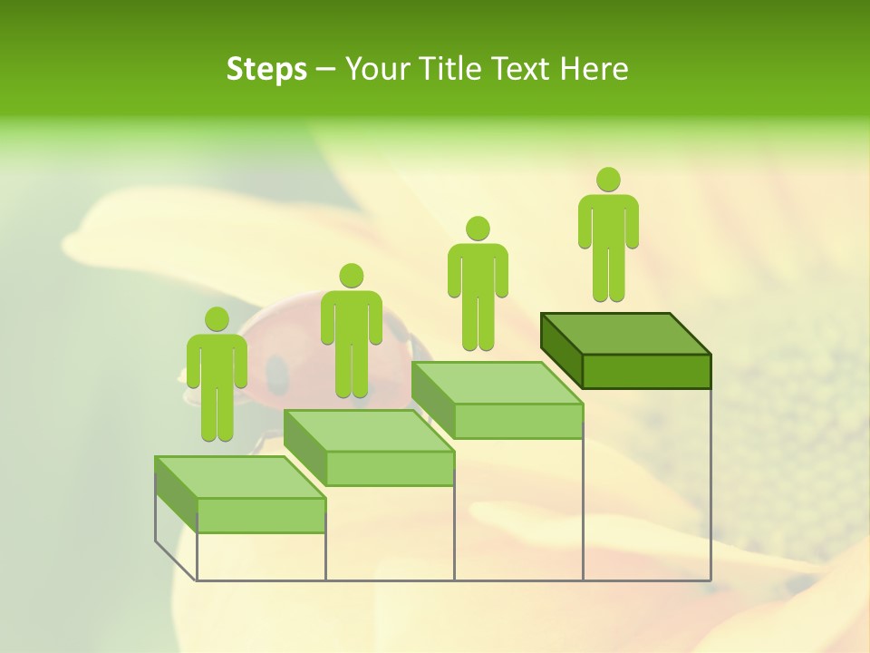 Insect Colorful Small PowerPoint Template