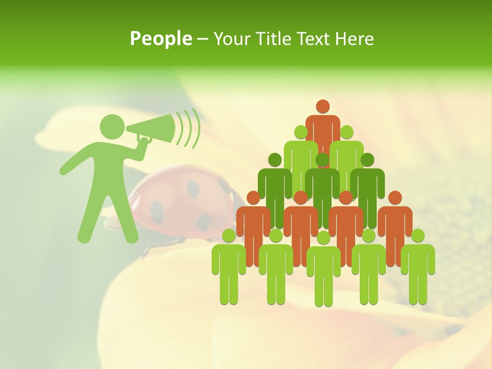 Insect Colorful Small PowerPoint Template