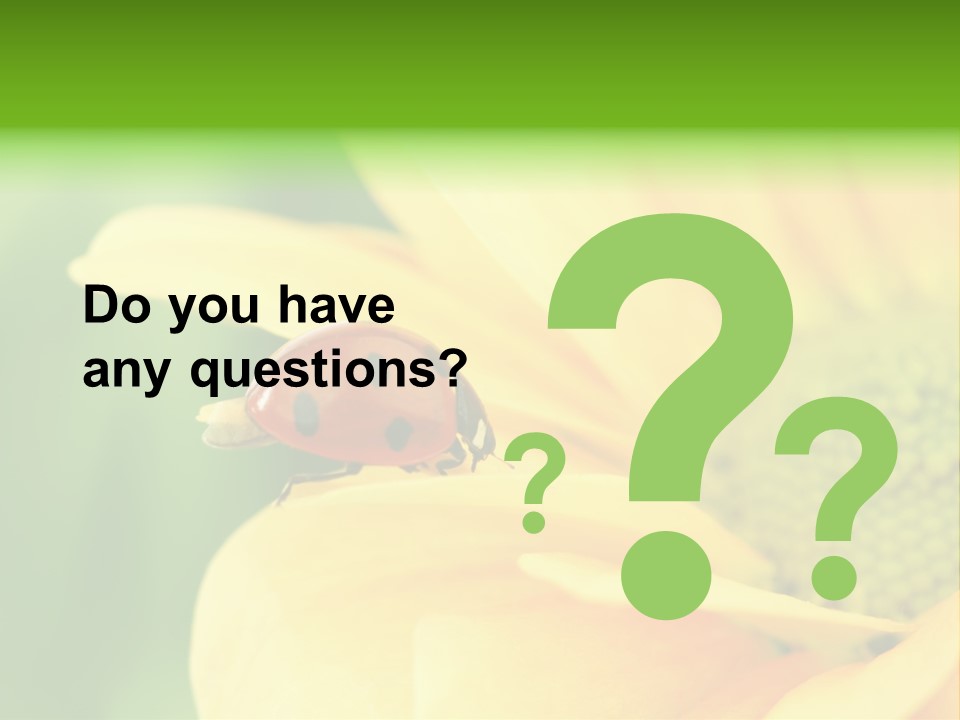 Insect Colorful Small PowerPoint Template