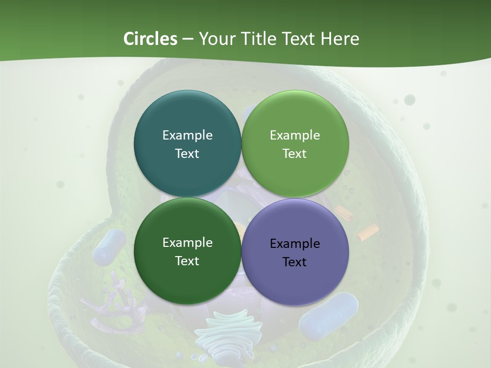 Death Microscope Small PowerPoint Template