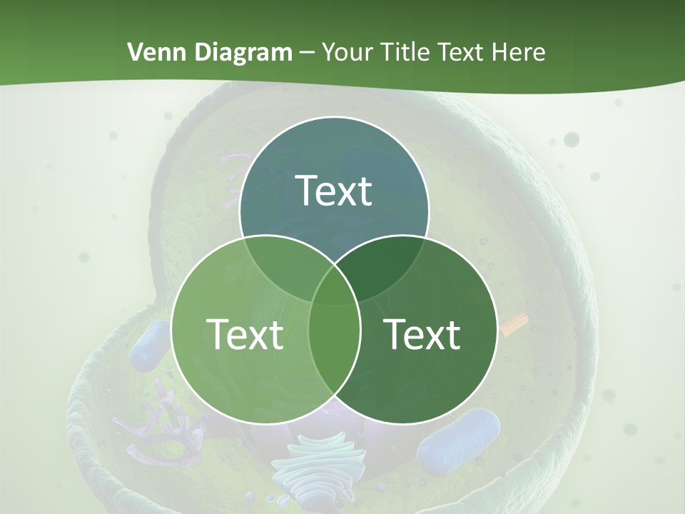 Death Microscope Small PowerPoint Template