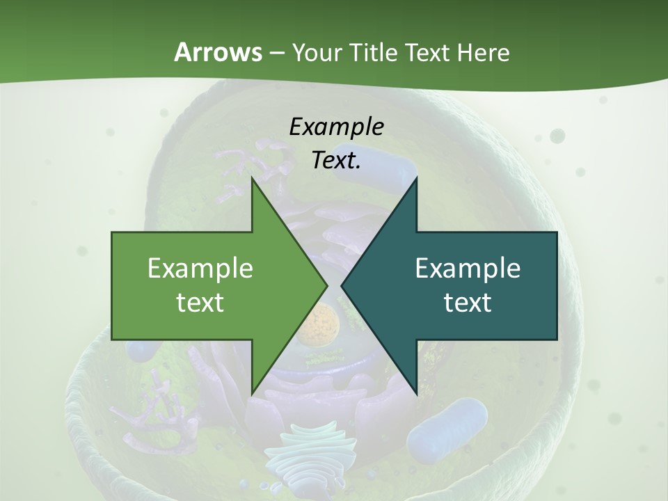 Death Microscope Small PowerPoint Template