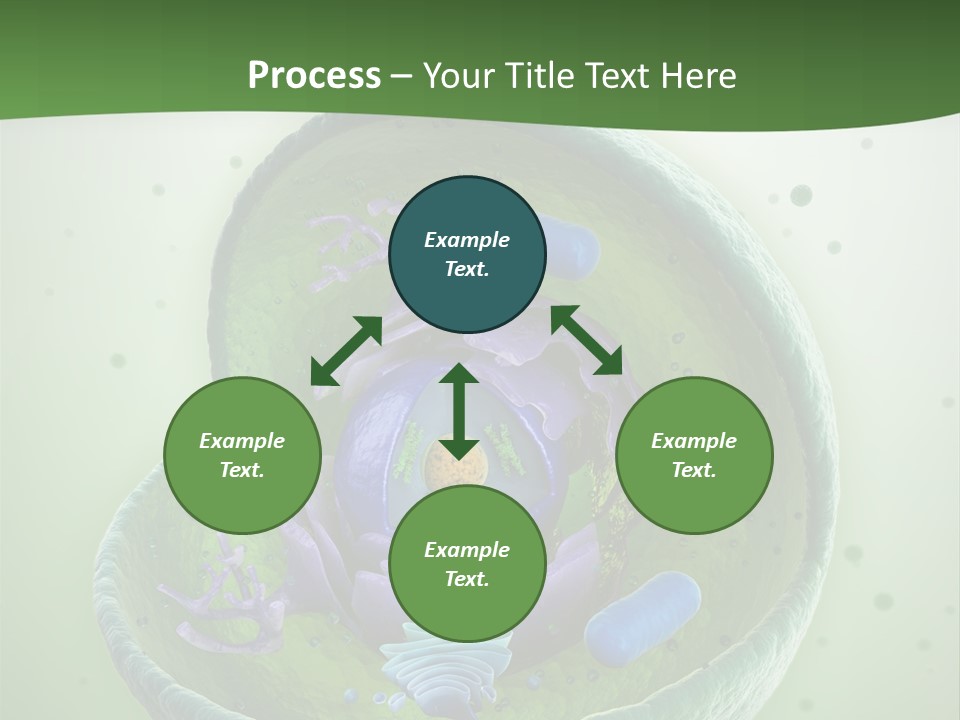 Death Microscope Small PowerPoint Template