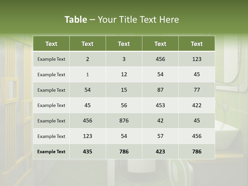 Mirror Tub Apartment PowerPoint Template