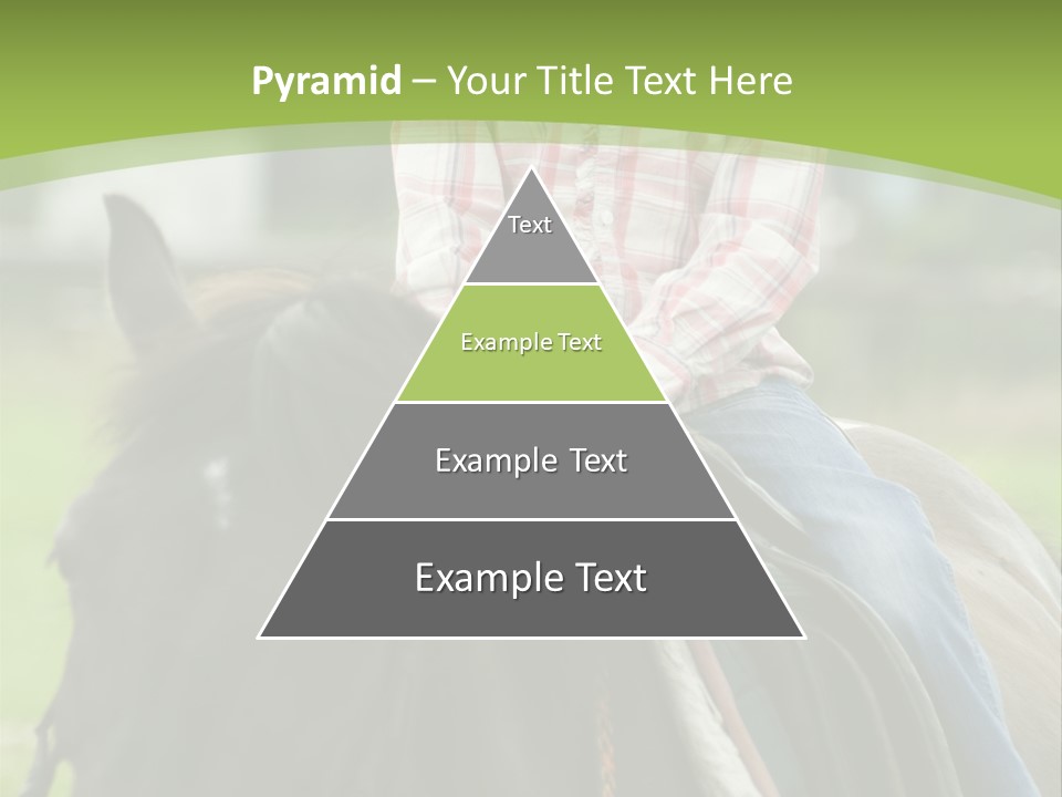 Sport Fun Farm PowerPoint Template