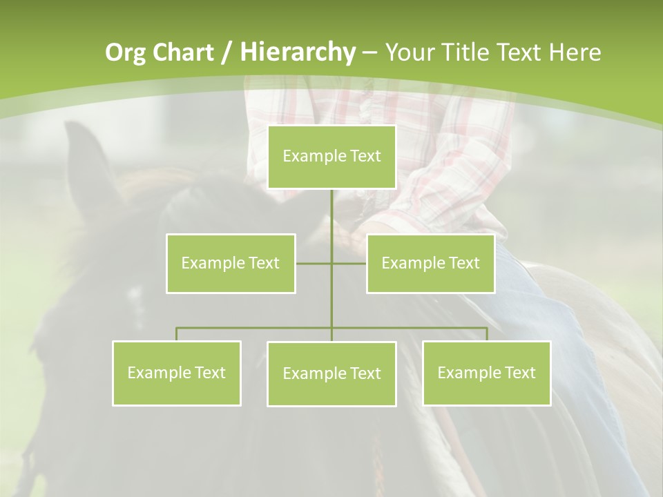Sport Fun Farm PowerPoint Template