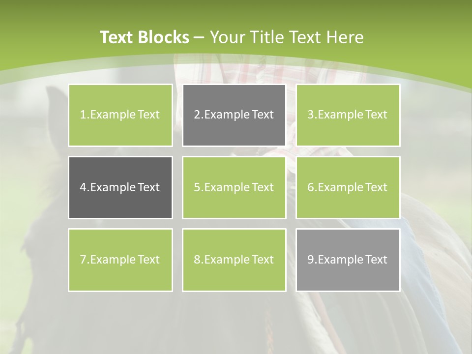 Sport Fun Farm PowerPoint Template