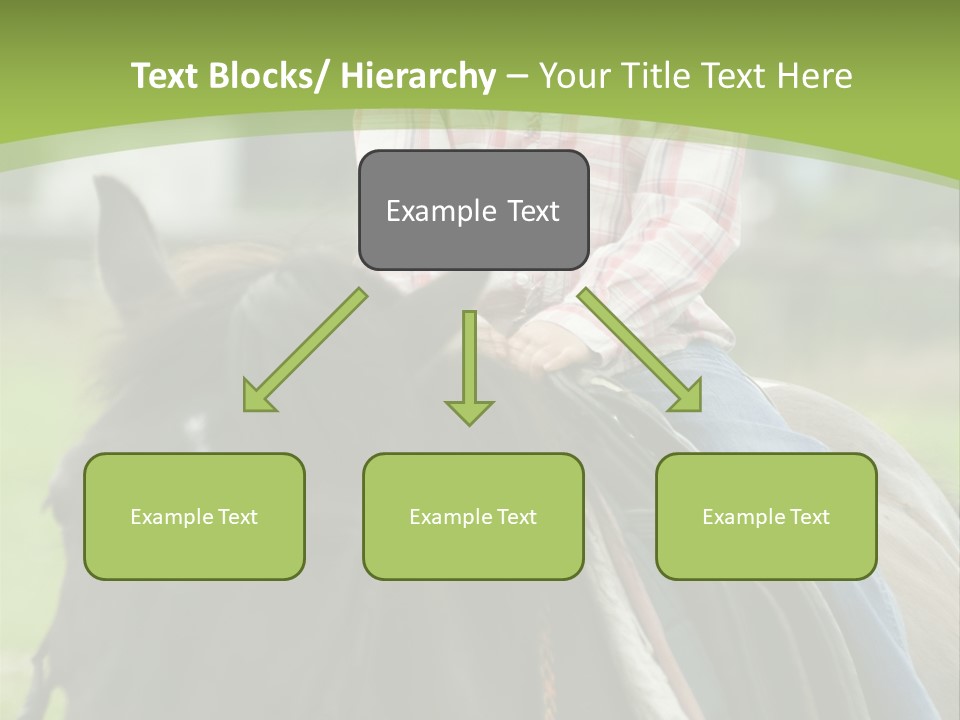 Sport Fun Farm PowerPoint Template