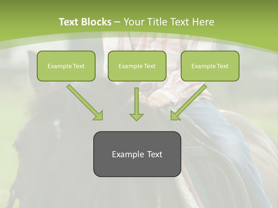 Sport Fun Farm PowerPoint Template