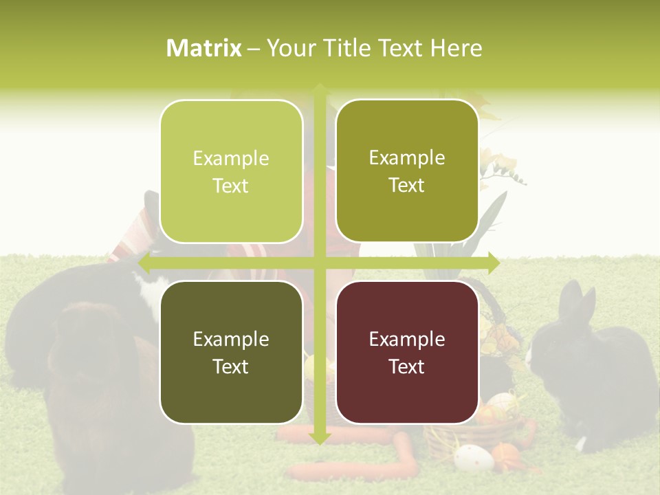 Age Smiling Portrait PowerPoint Template