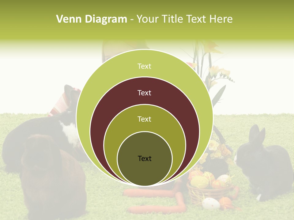 Age Smiling Portrait PowerPoint Template