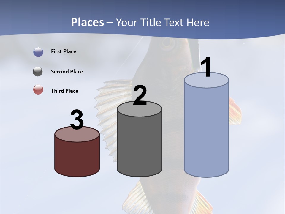 Wildlife Shore Sunny PowerPoint Template