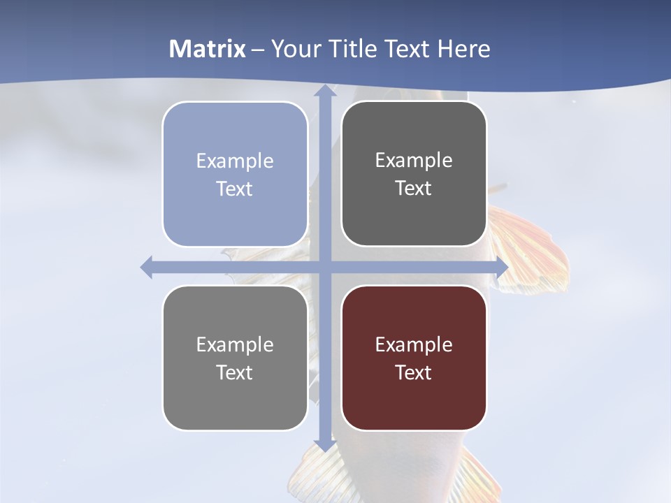 Wildlife Shore Sunny PowerPoint Template