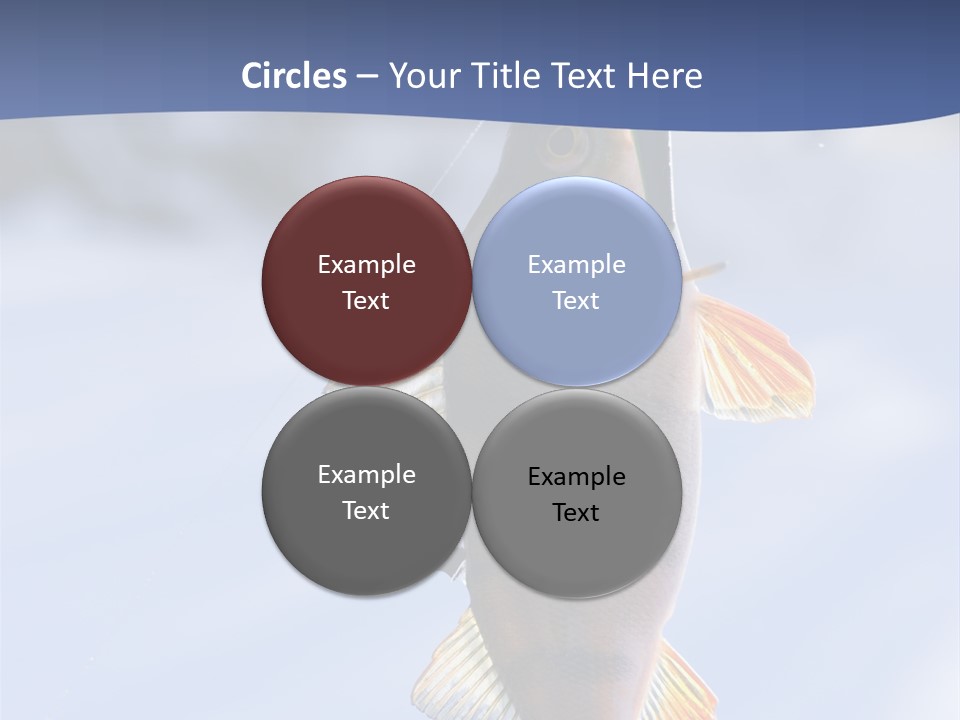 Wildlife Shore Sunny PowerPoint Template