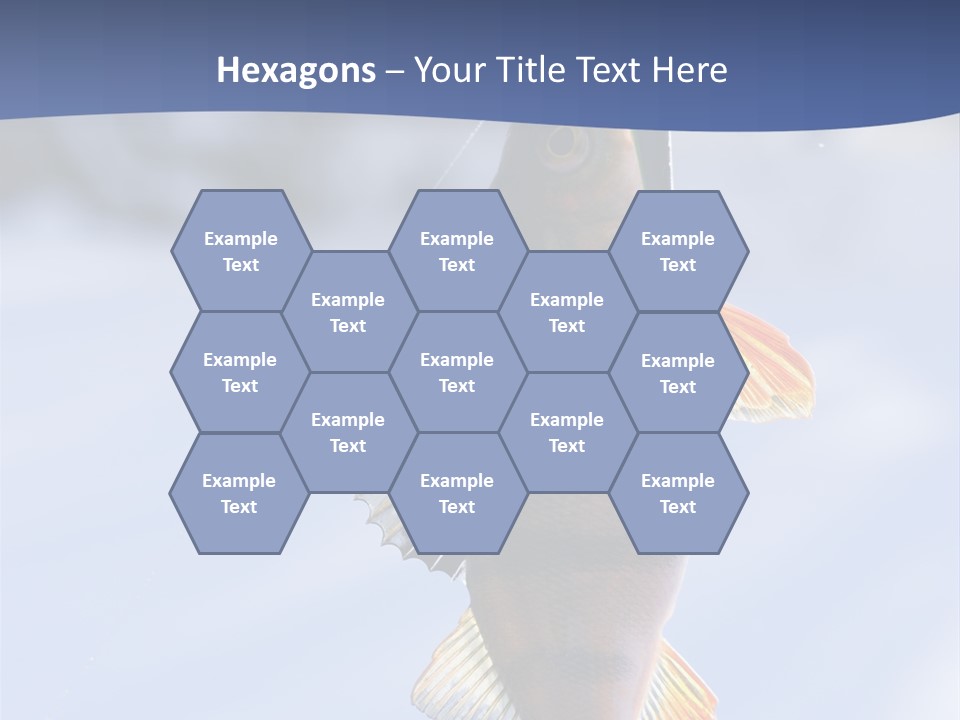 Wildlife Shore Sunny PowerPoint Template