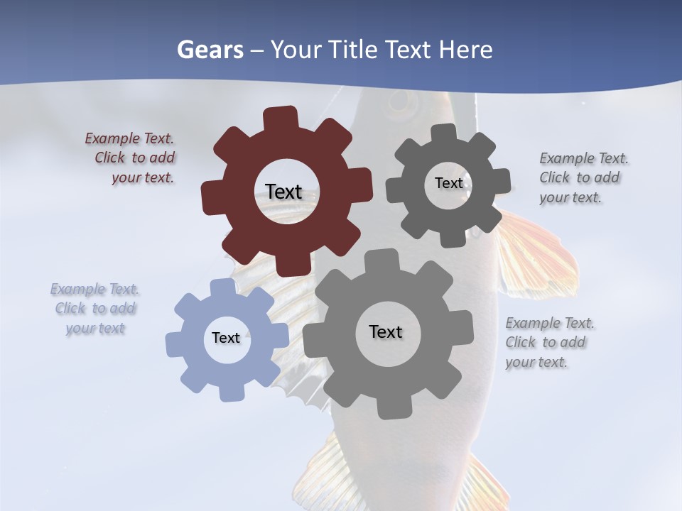 Wildlife Shore Sunny PowerPoint Template