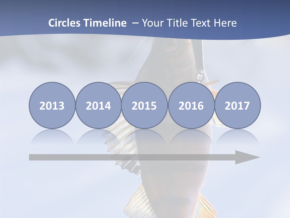 Wildlife Shore Sunny PowerPoint Template