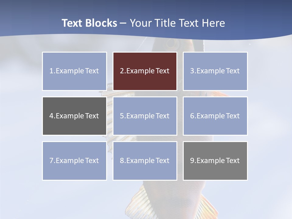 Wildlife Shore Sunny PowerPoint Template