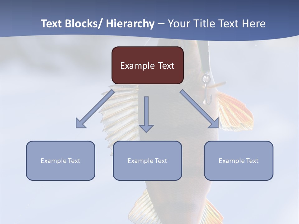 Wildlife Shore Sunny PowerPoint Template