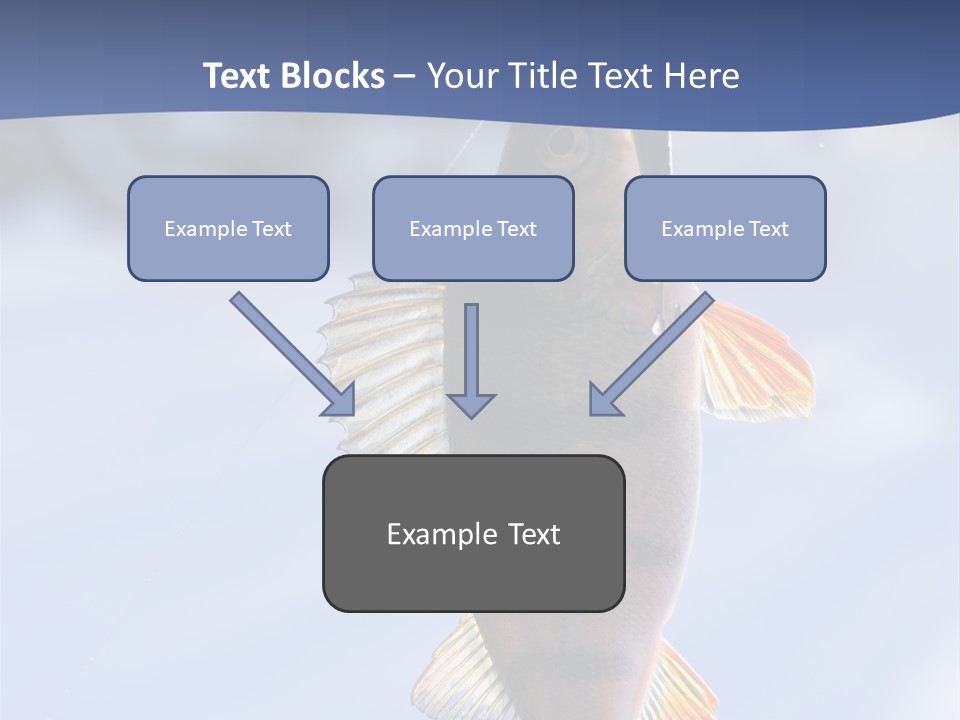 Wildlife Shore Sunny PowerPoint Template