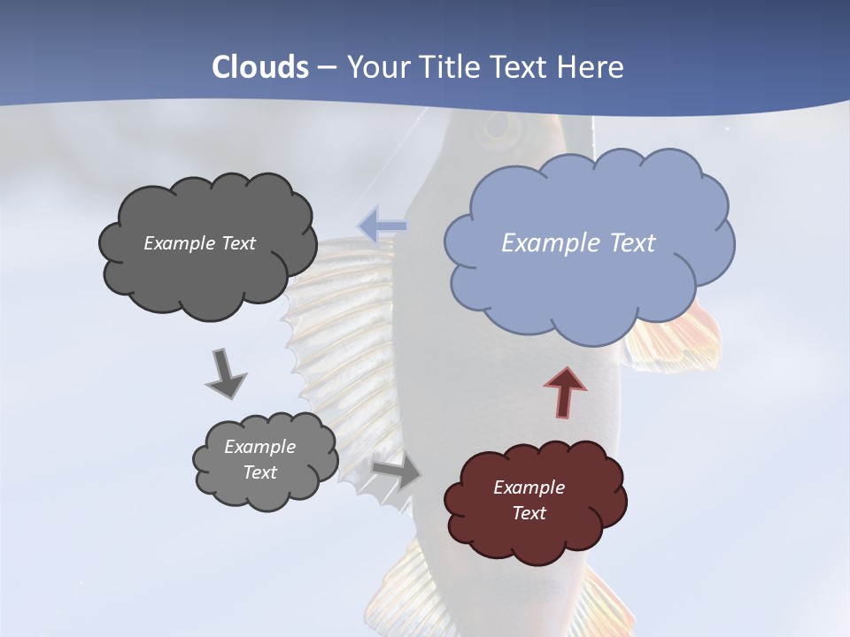 Wildlife Shore Sunny PowerPoint Template
