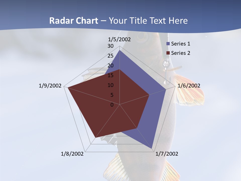 Wildlife Shore Sunny PowerPoint Template
